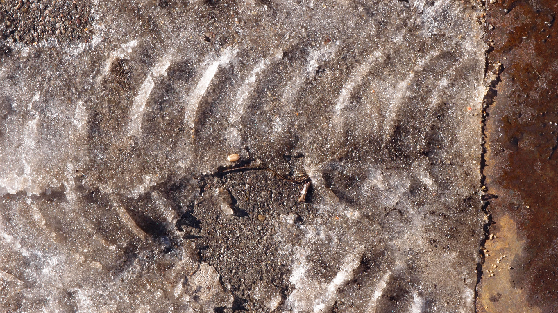 2021-01-30 Wasser in der Sple II, On-Off (Remix John Cage 'Sonatas & Interludes') (Komposition, Remix, Recording, Foto)